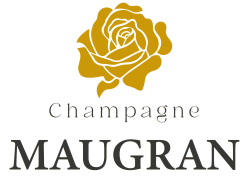 MAUGRAN_Plan de travail 1